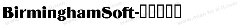 BirminghamSoft字体转换