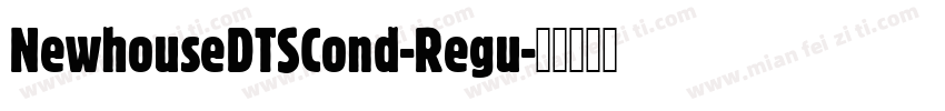 NewhouseDTSCond-Regu字体转换