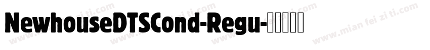 NewhouseDTSCond-Regu字体转换