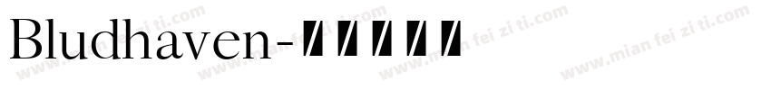 Bludhaven字体转换