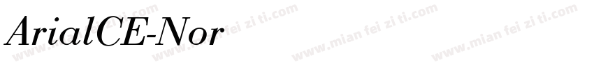ArialCE-NormalItalic字体转换
