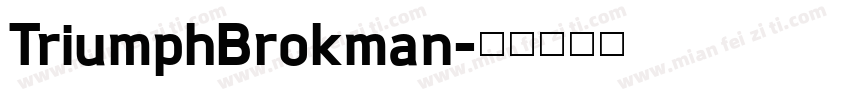 TriumphBrokman字体转换