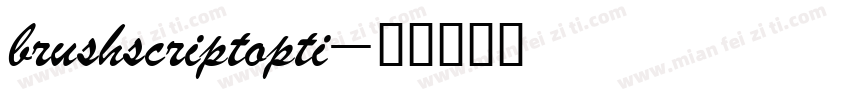 brushscriptopti字体转换