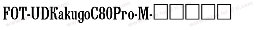 FOT-UDKakugoC80Pro-M字体转换