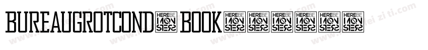 BureauGrotCond-Book字体转换