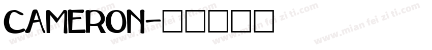 CAMERON字体转换
