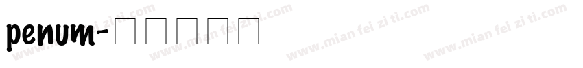 penum字体转换