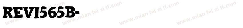 Revi565b字体转换