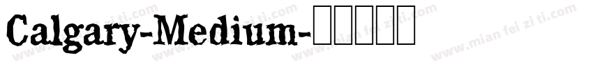 Calgary-Medium字体转换