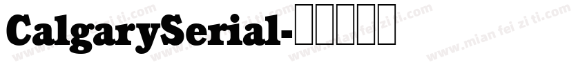 CalgarySerial字体转换