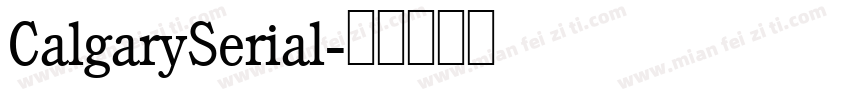 CalgarySerial字体转换