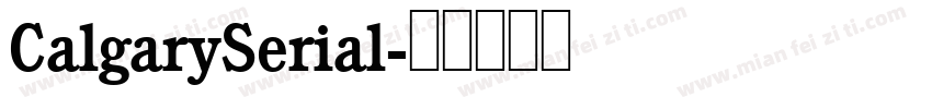CalgarySerial字体转换