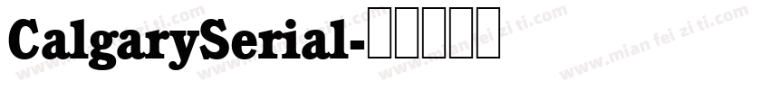 CalgarySerial字体转换