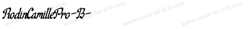 RodinCamillePro-B字体转换
