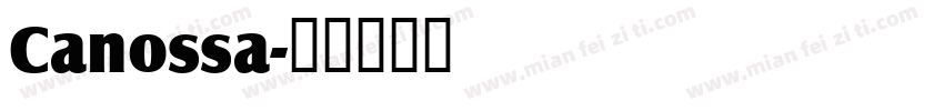 Canossa字体转换