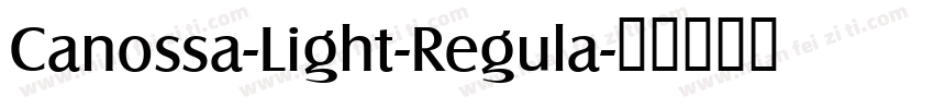 Canossa-Light-Regula字体转换