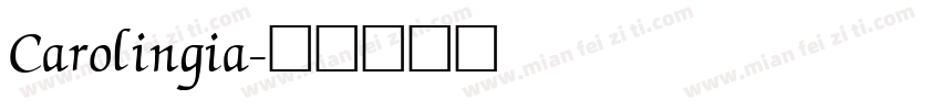 Carolingia字体转换