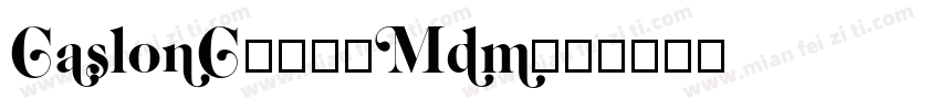 CaslonC637-Mdm字体转换