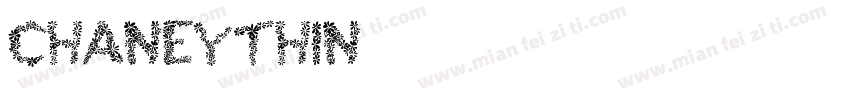 chaneythin字体转换