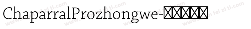 ChaparralProzhongwe字体转换