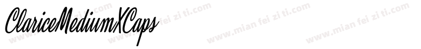 ClariceMediumXCaps字体转换