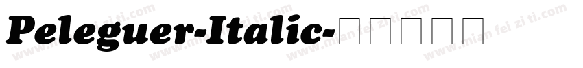 Peleguer-Italic字体转换