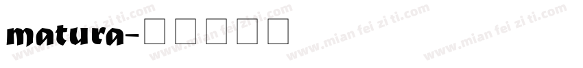 matura字体转换