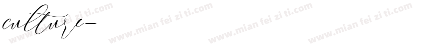 culture字体转换