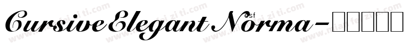 CursiveElegantNorma字体转换
