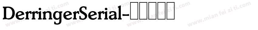 DerringerSerial字体转换