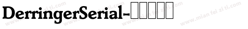 DerringerSerial字体转换