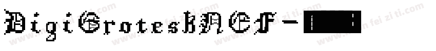 DigiGroteskNEF字体转换
