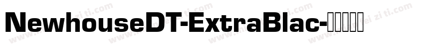 NewhouseDT-ExtraBlac字体转换