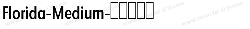 Florida-Medium字体转换