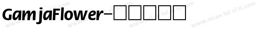 GamjaFlower字体转换