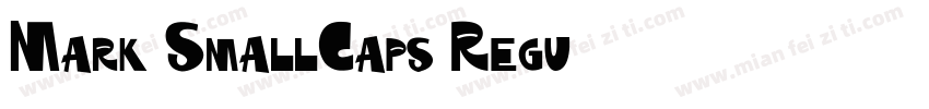 Mark-SmallCaps-Regu字体转换