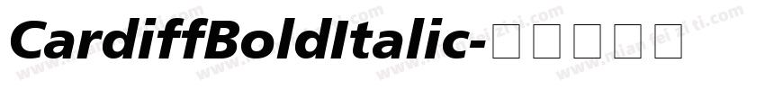 CardiffBoldItalic字体转换