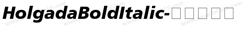 HolgadaBoldItalic字体转换