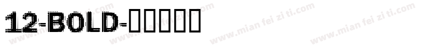 12-BOLD字体转换