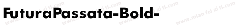 FuturaPassata-Bold字体转换