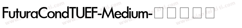 FuturaCondTUEF-Medium字体转换