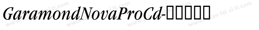 GaramondNovaProCd字体转换