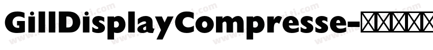 GillDisplayCompresse字体转换