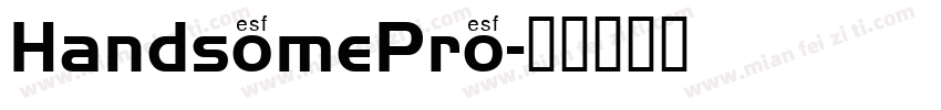 HandsomePro字体转换