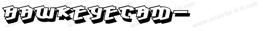 HawkeyeCam字体转换