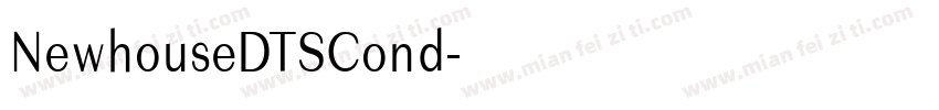 NewhouseDTSCond字体转换
