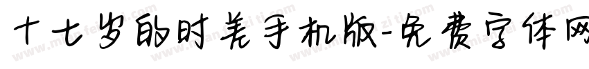 十七岁的时差手机版字体转换