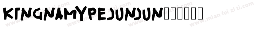 KingnamypeJunjun字体转换