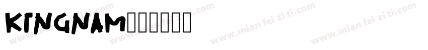 kingnam字体转换