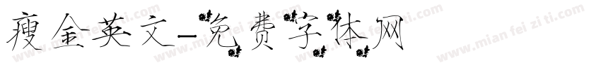 瘦金英文字体转换